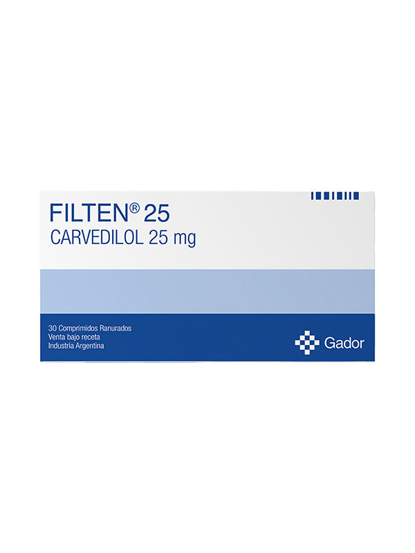 FILTEN 25