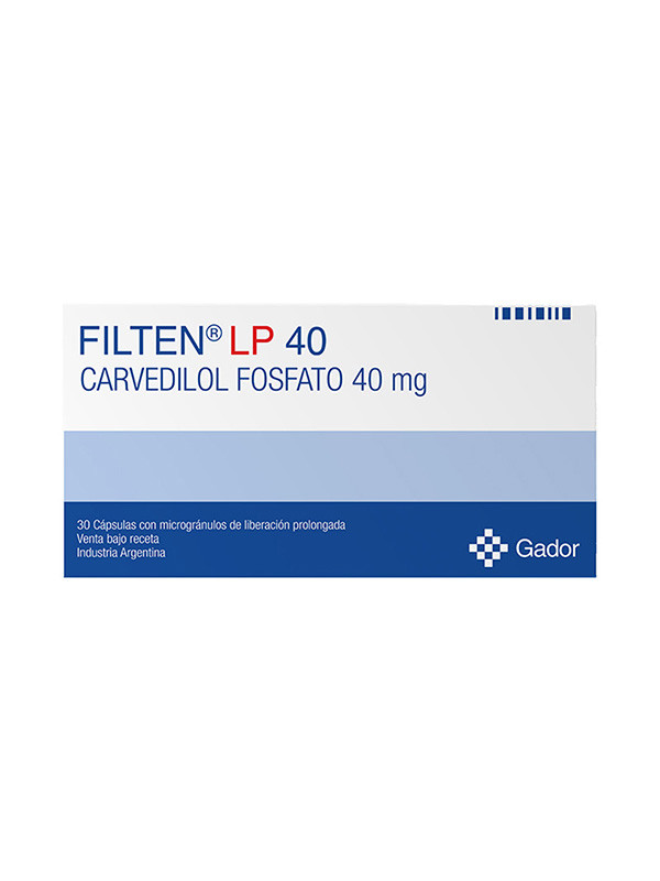 FILTEN LP 40