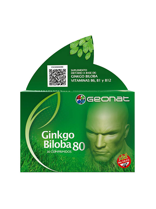 GINKGO BILOBA  80